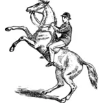 Мужчина верхом воспитания лошади векторное изображение